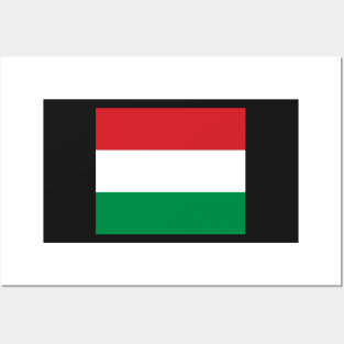 Hungary flag Posters and Art